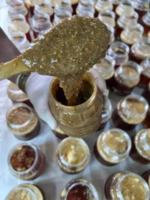 معجون درمان دیابت ترکیب 16 گیاه +10 گرم ژل رویال درمان دیابت به روش طب سنتی هندی و ایرانی